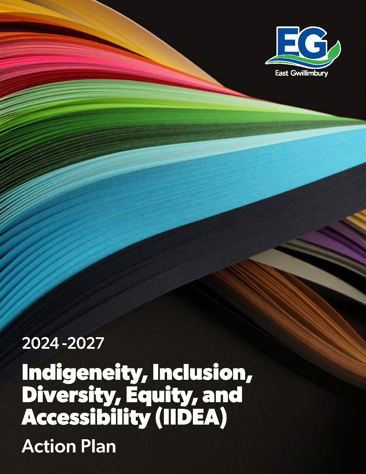 IIDEA Action Plan cover page