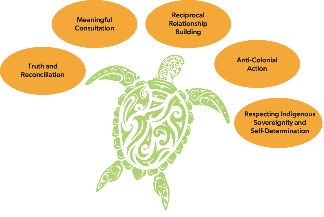 Indigeneity graphic
