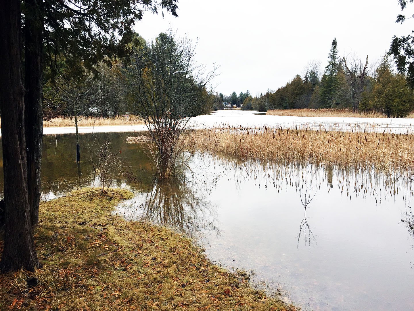 The image is of the water level in Lake Simcoe