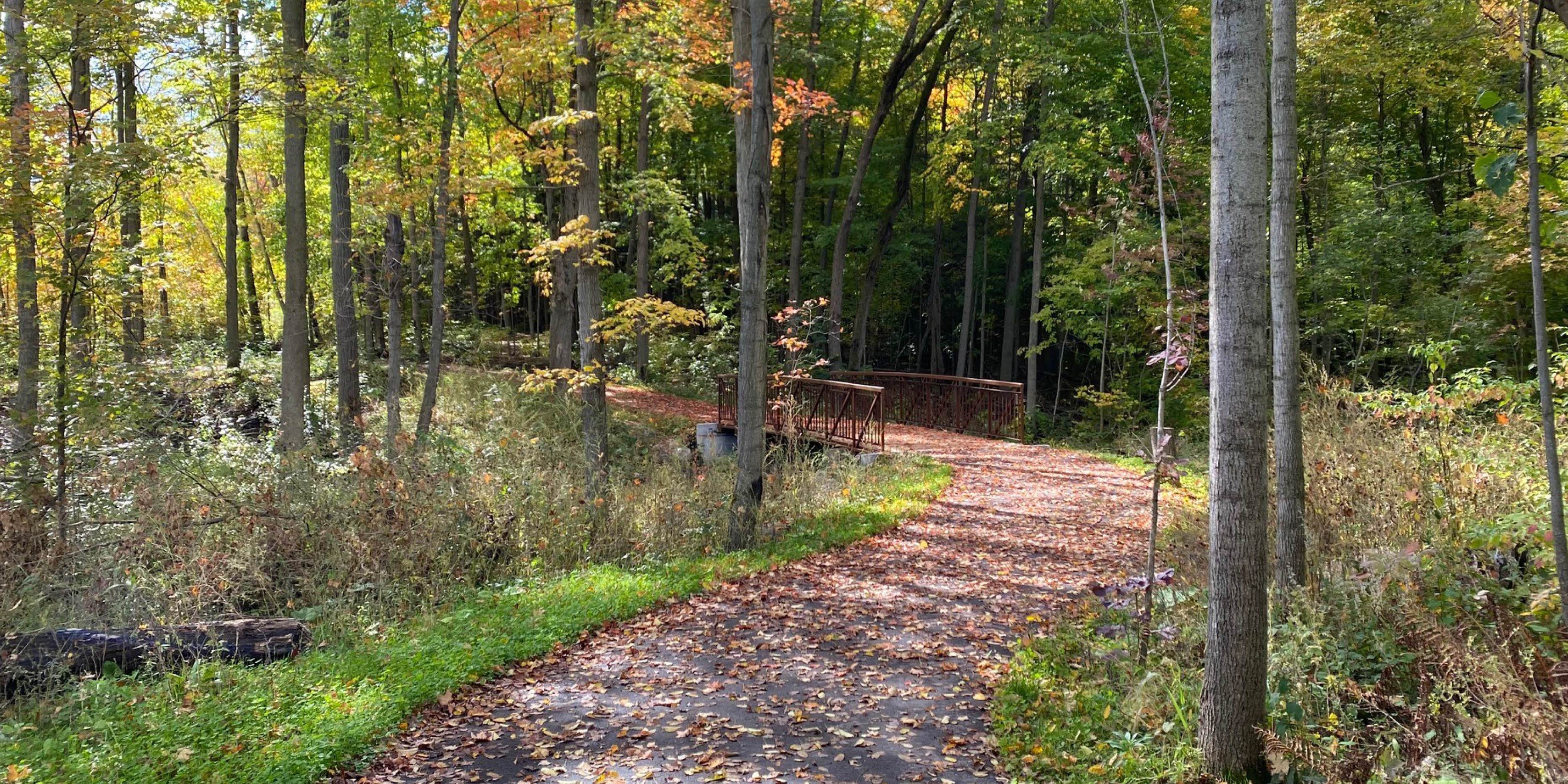 Trail in East Gwillimbury - Silk Twist Trail