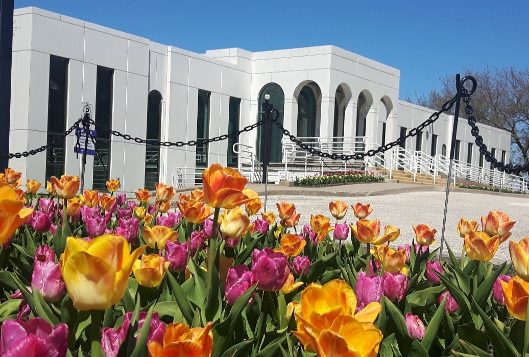 Photo of the EG Civic Centre with colourful tulips around it
