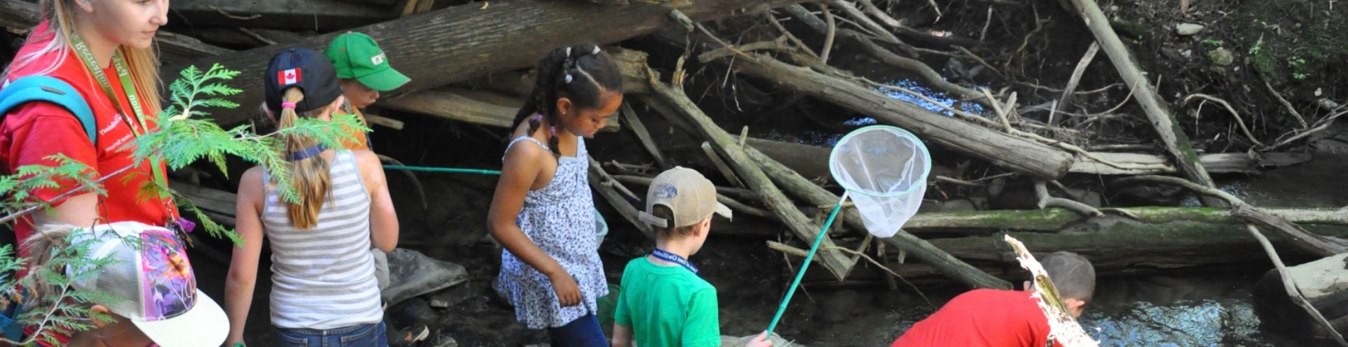 Children looking for wildife in a creek