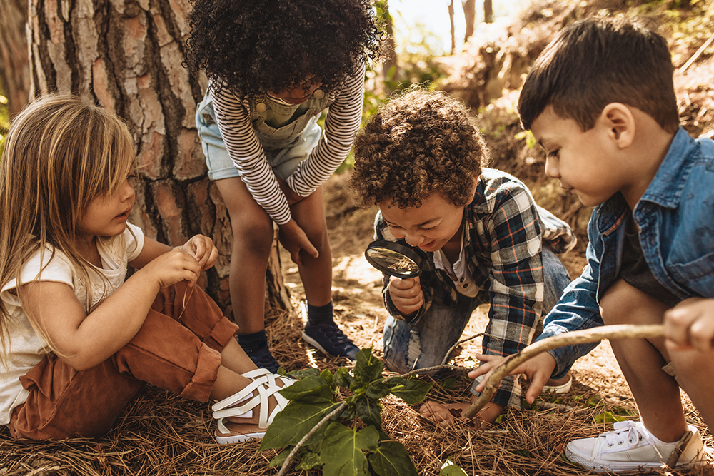 Children observing nature