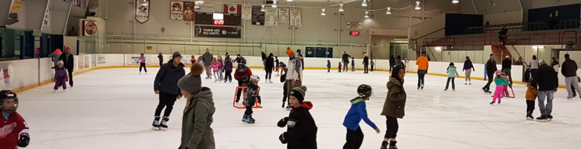 Skating and Shinny Activities 