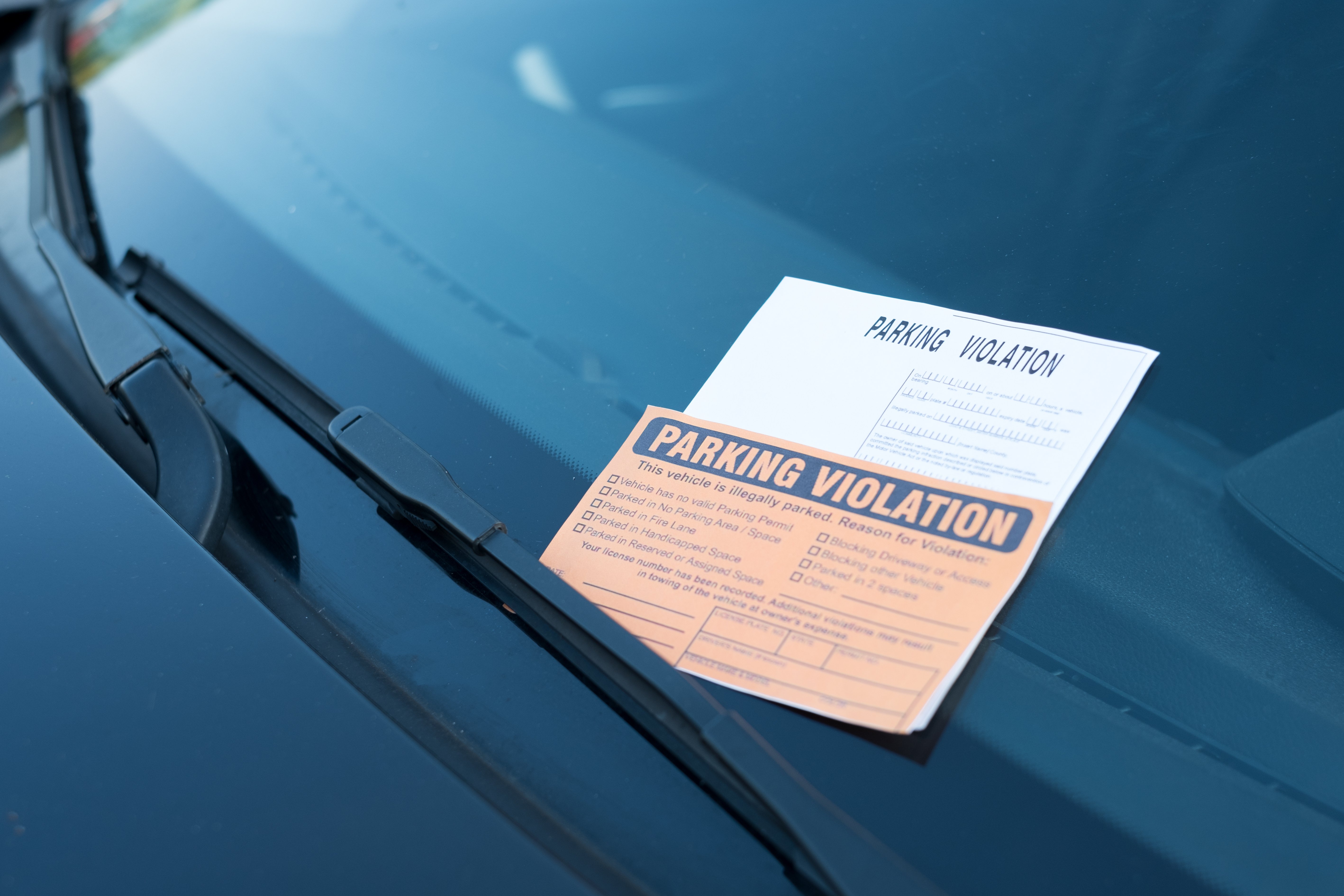 Parking ticket on windshield