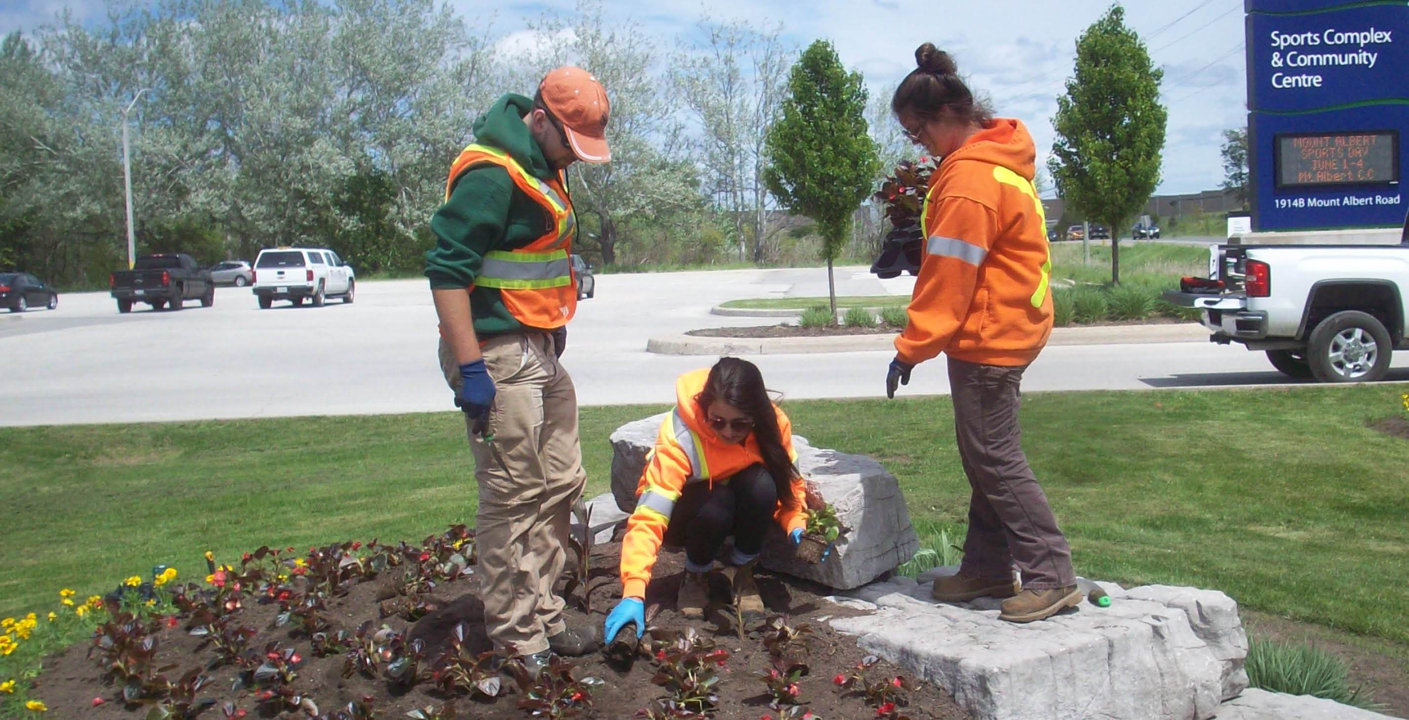 Staff planting flowers 