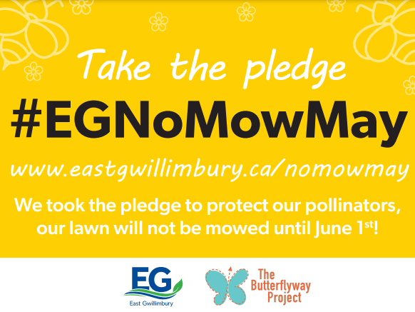 no mow may lawn sign 