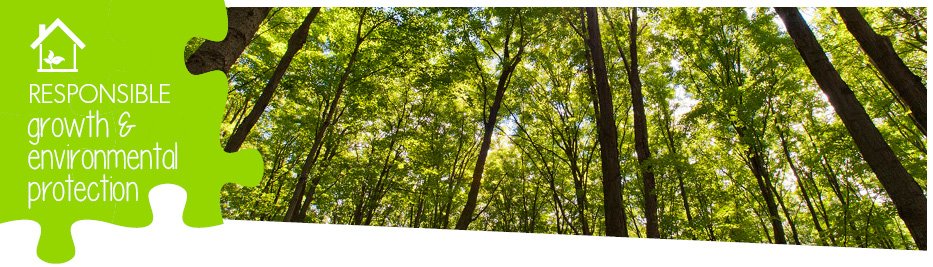 Responsible growth and environmental protection header