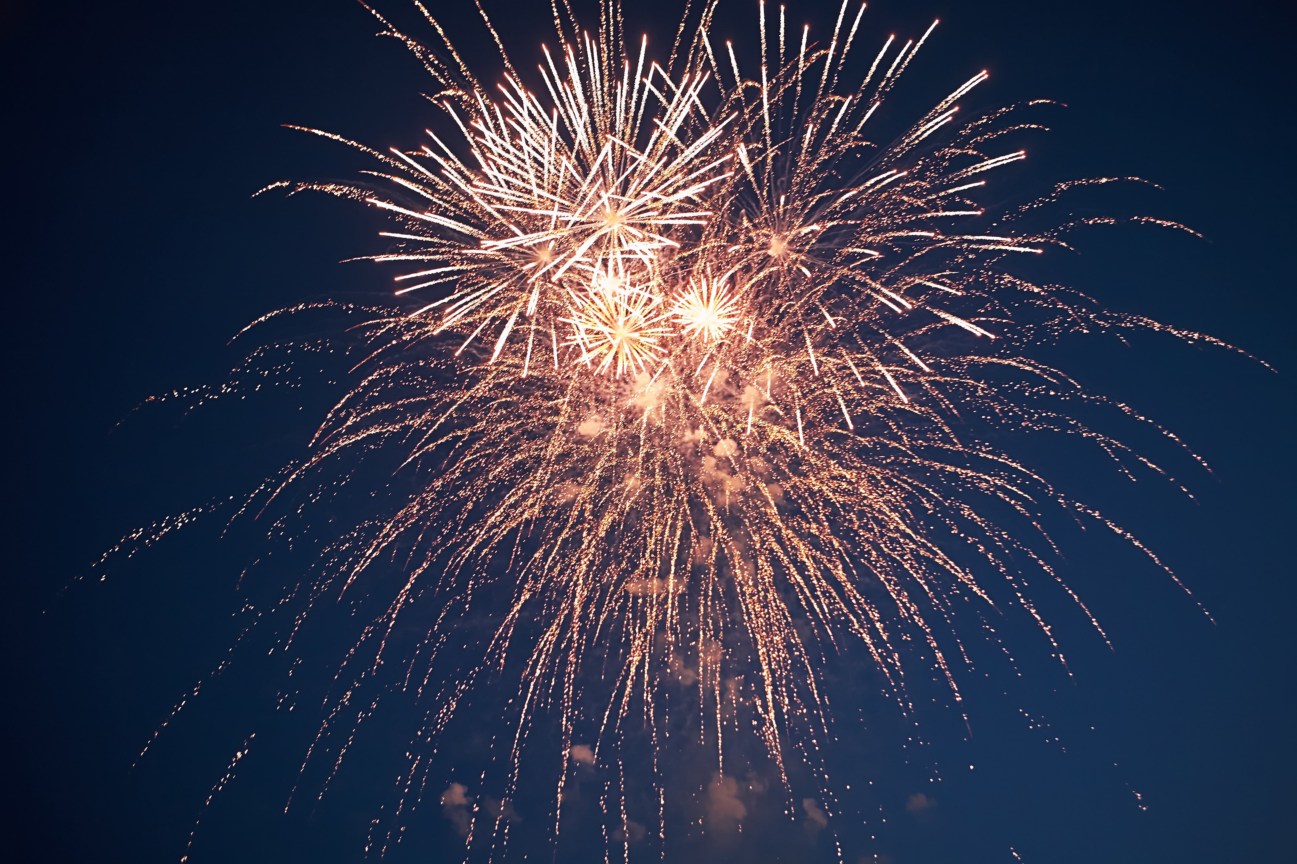 Fireworks exploding in dark sky