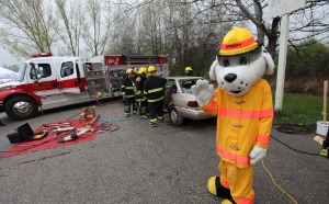 Fire truck and mascot Sparky the firefighter Dalmatian