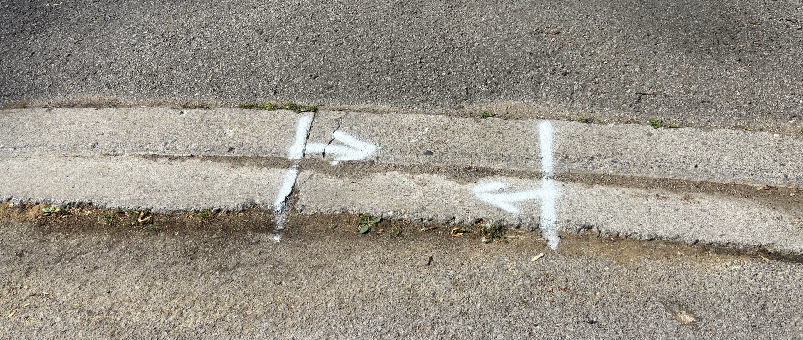 White Spray Paint Markings