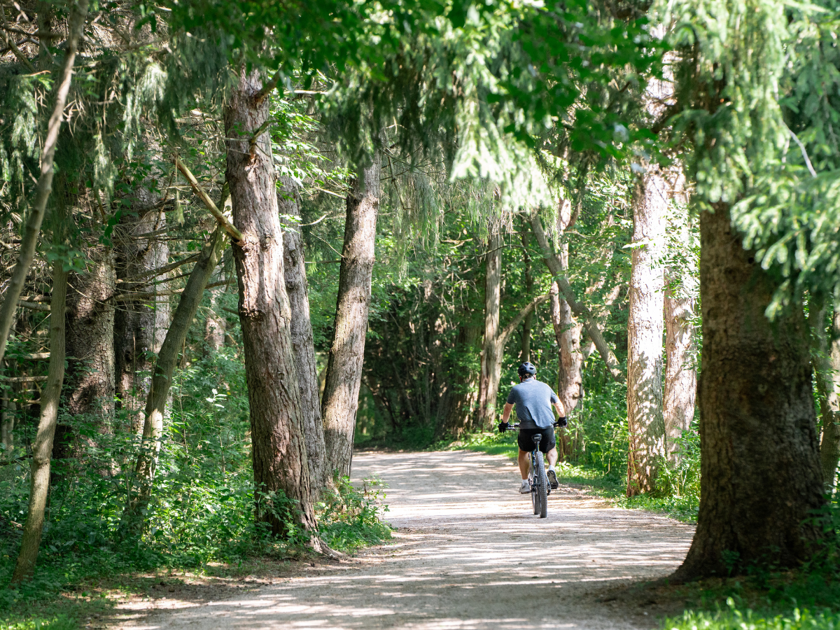 A person rides a bicycle along a wide gravel trail surrounded by mature trees and dense greenery. Sunlight filters through the forest canopy, casting light and shadow across the path. The trail winds through a natural wooded area, highlighting East Gwillimbury's natural environment and outdoor recreation opportunities.