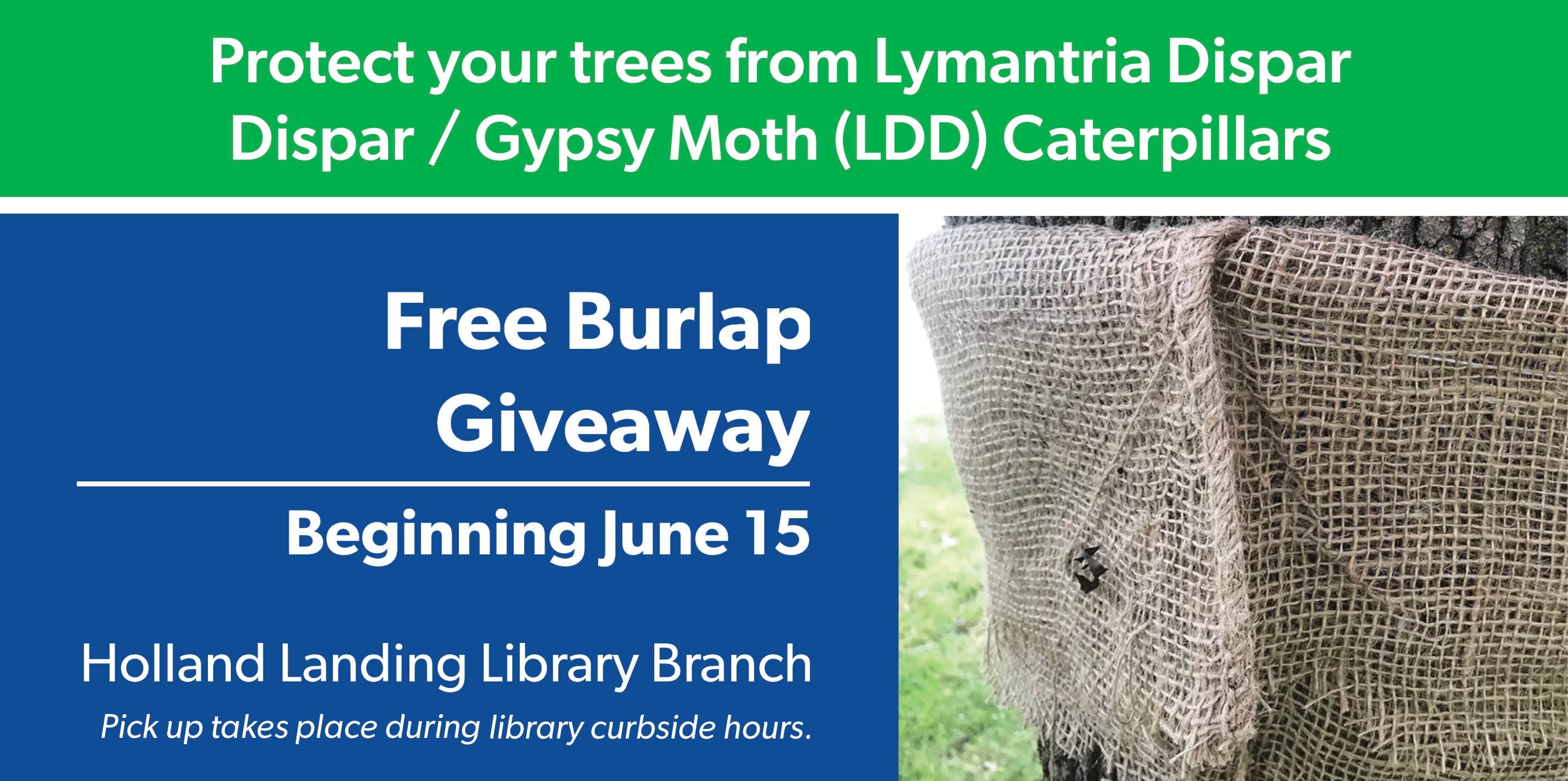 Free Burlap Giveaway June 15 at EGPL - Holland Landing Library Branch