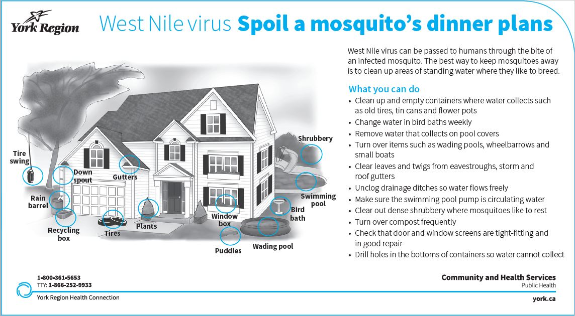 West nile prevention image