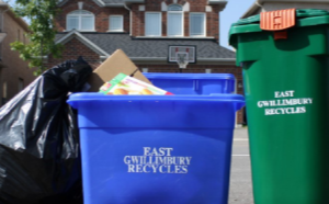 garbage bag, blue bin and green bin